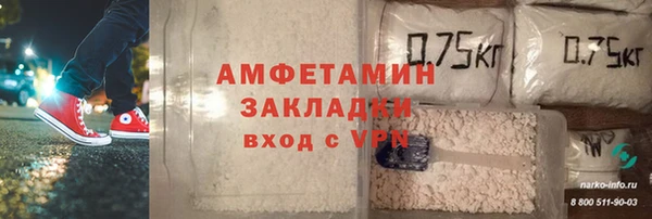 ГАЛЛЮЦИНОГЕННЫЕ ГРИБЫ Аркадак